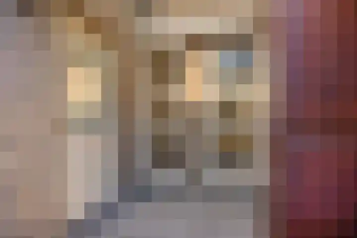 De Akkerwinde 40 Budel thumbnail 15