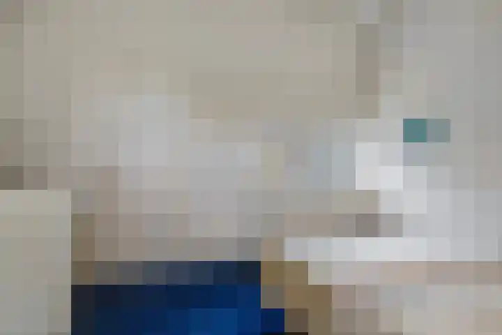 De Akkerwinde 40 Budel thumbnail 18