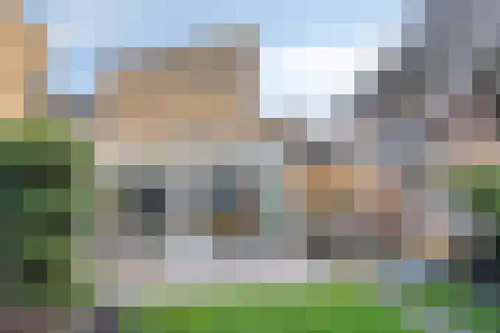 De Akkerwinde 40 Budel thumbnail 20