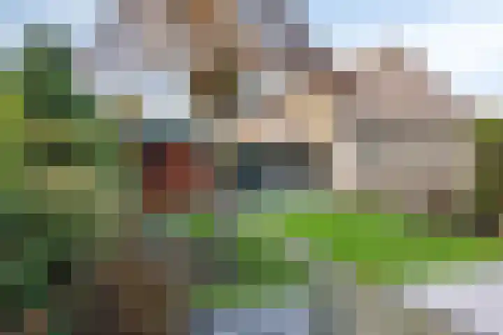 De Akkerwinde 40 Budel thumbnail 21