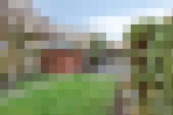 De Akkerwinde 40 Budel thumbnail 22