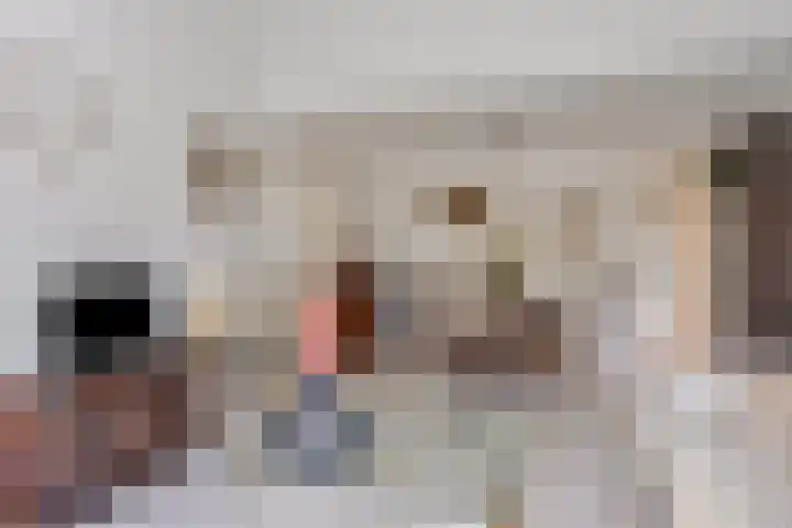 De Akkerwinde 40 Budel thumbnail 4
