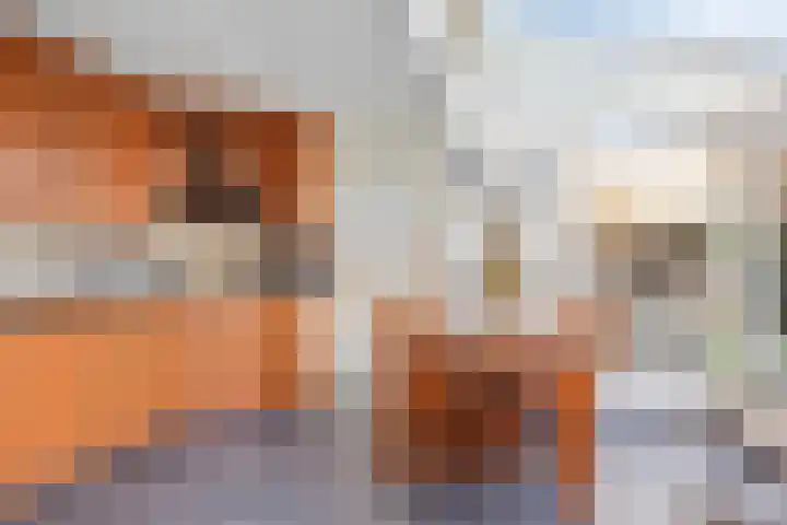 De Akkerwinde 40 Budel thumbnail 6