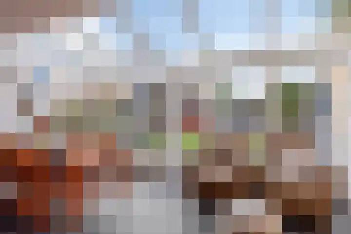 De Akkerwinde 40 Budel thumbnail 7