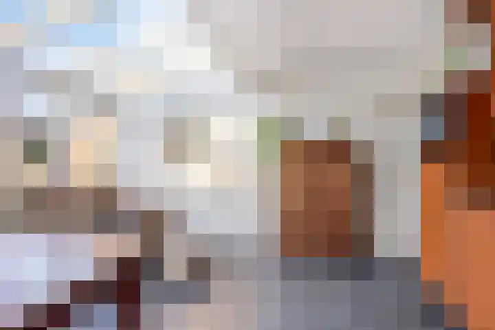 De Akkerwinde 40 Budel thumbnail 8