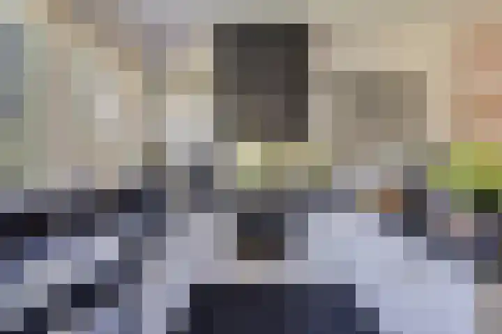 de Alerdink 25 Denekamp thumbnail 13