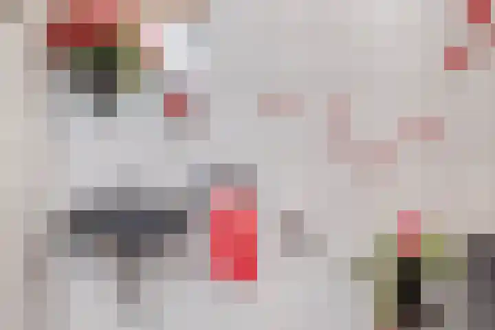 de Alerdink 25 Denekamp thumbnail 17
