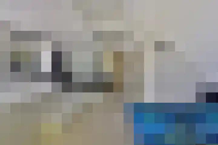 de Alerdink 25 Denekamp thumbnail 23