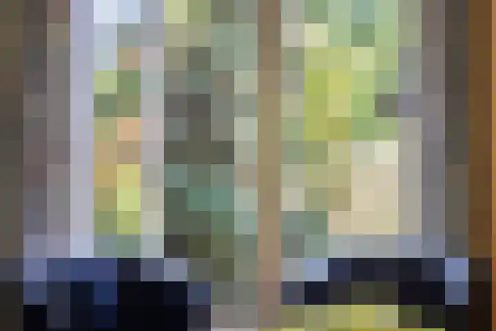 de Alerdink 25 Denekamp thumbnail 9