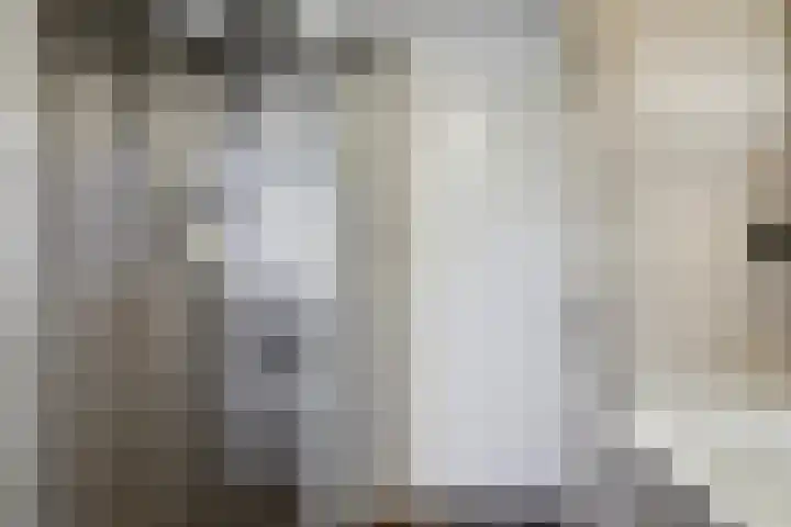 De Alk 16 Almelo thumbnail 23
