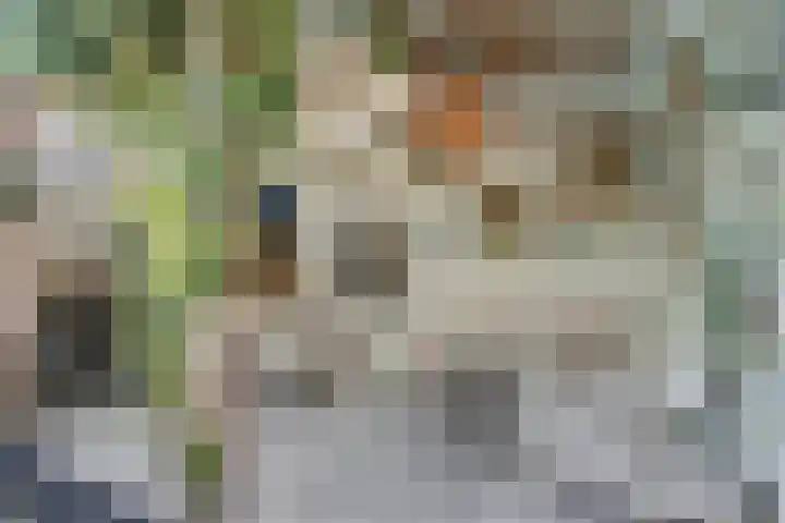 De Alk 16 Almelo thumbnail 30