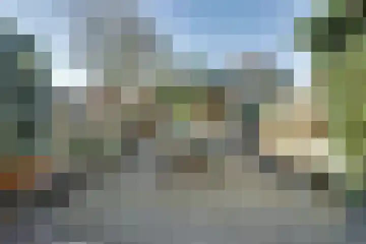 De Alk 16 Almelo thumbnail 31