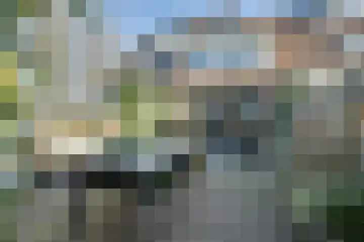 De Alk 16 Almelo thumbnail 35