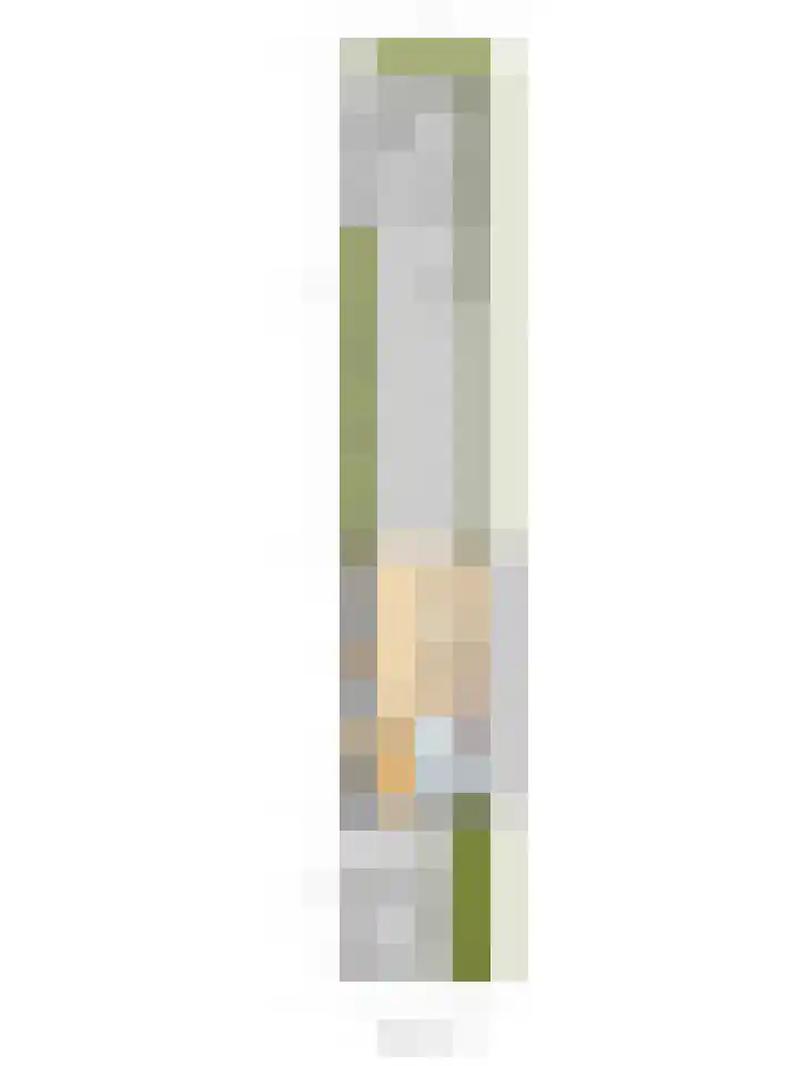 De Alk 16 Almelo thumbnail 36