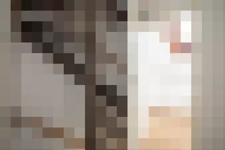 De Alk 23 Almelo thumbnail 13
