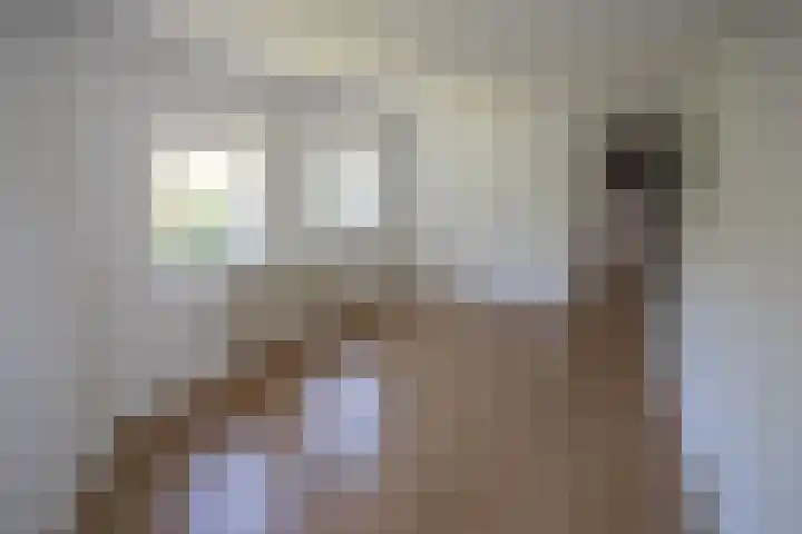 De Alk 23 Almelo thumbnail 17