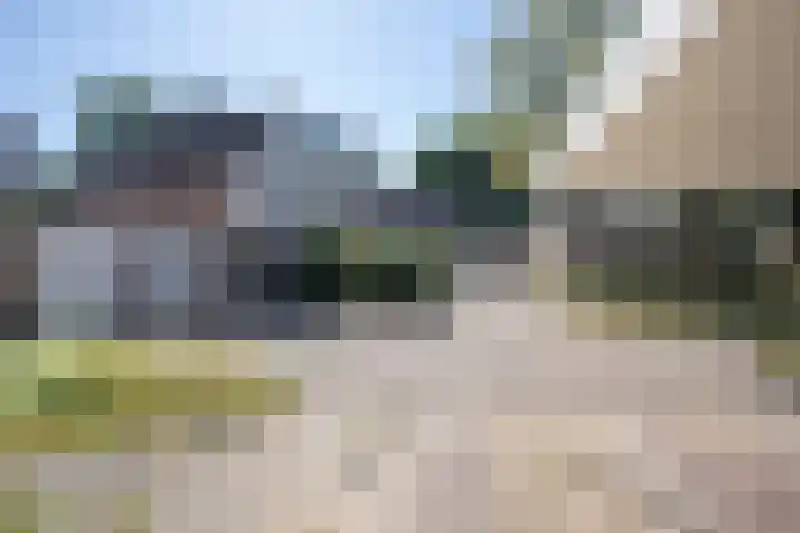 De Alk 23 Almelo thumbnail 25