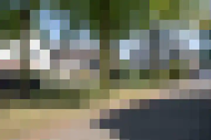 De Alk 23 Almelo thumbnail 26