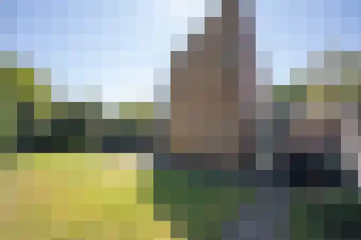 De Alk 23 Almelo thumbnail 4