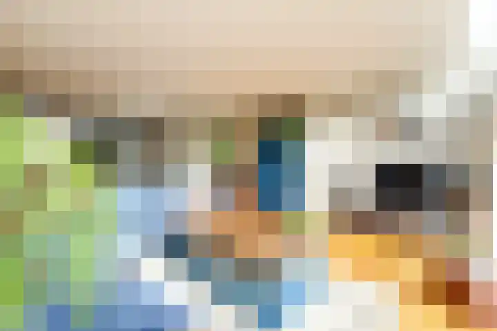 De Alk 23 Almelo thumbnail 9