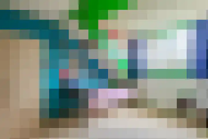 de Anjer 26 Hoogerheide thumbnail 24