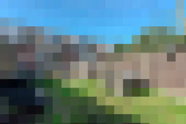 de Anjer 26 Hoogerheide thumbnail 29