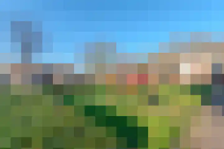 de Anjer 26 Hoogerheide thumbnail 40