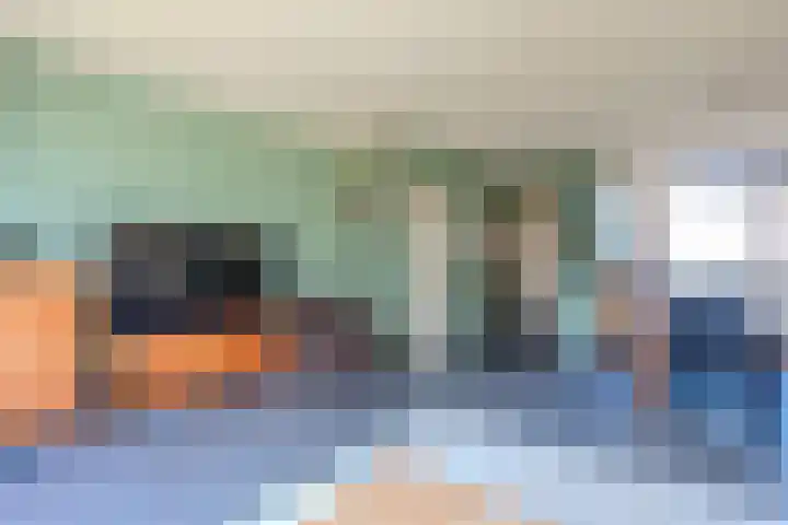 de Anjer 26 Hoogerheide thumbnail 7