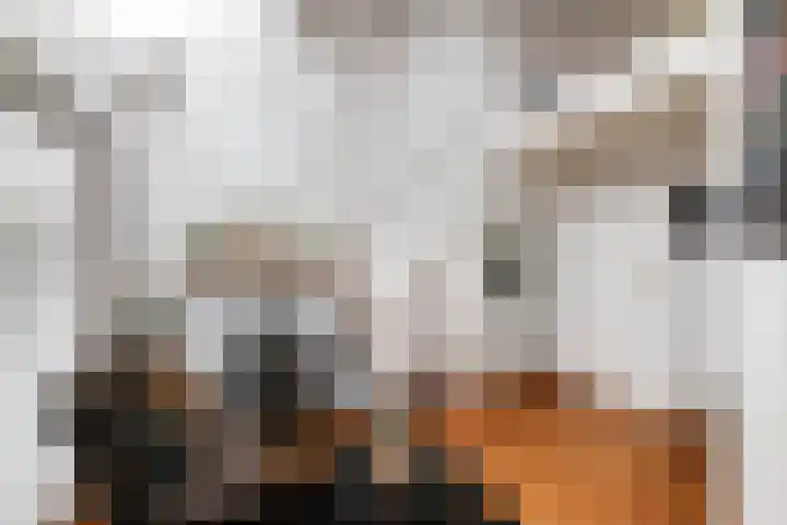 De Arabier 11 Dronten thumbnail 10