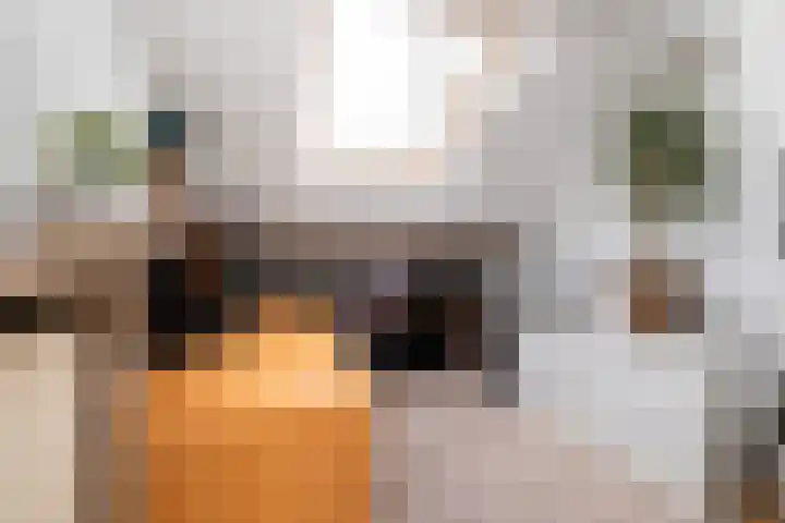 De Arabier 11 Dronten thumbnail 11