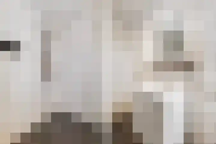 De Arabier 11 Dronten thumbnail 17