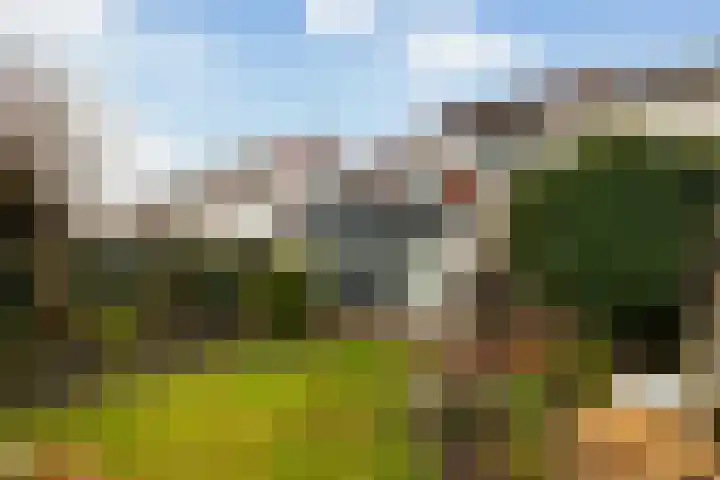 De Arabier 11 Dronten thumbnail 22