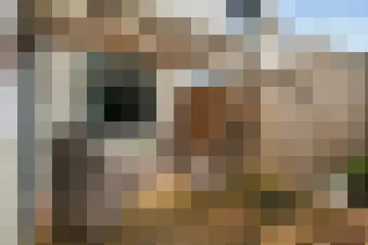 De Arabier 11 Dronten thumbnail 23