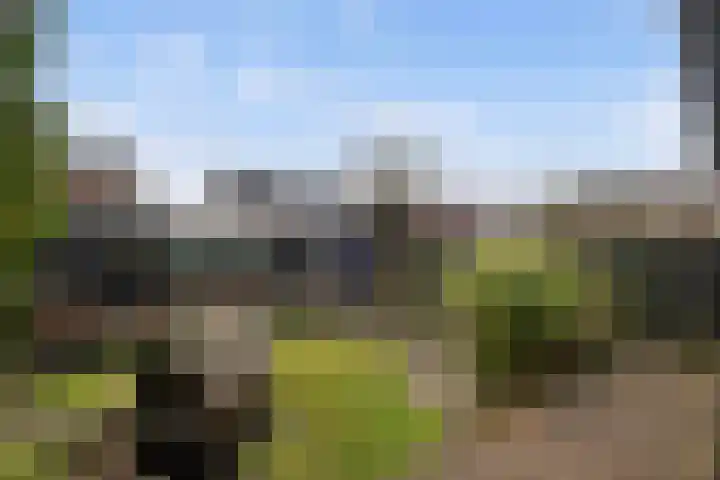 De Arabier 11 Dronten thumbnail 24