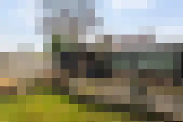 De Arabier 11 Dronten thumbnail 25