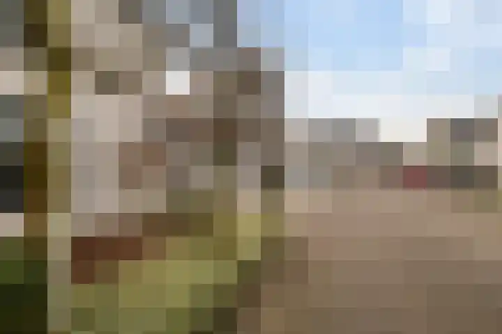 De Arabier 11 Dronten thumbnail 27
