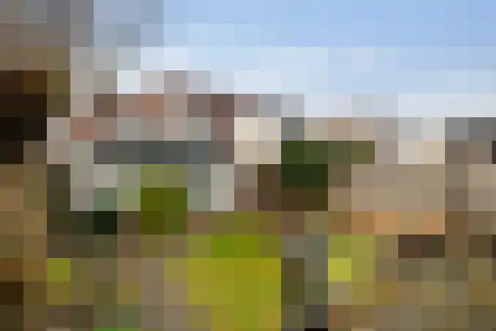 De Arabier 11 Dronten foto 3