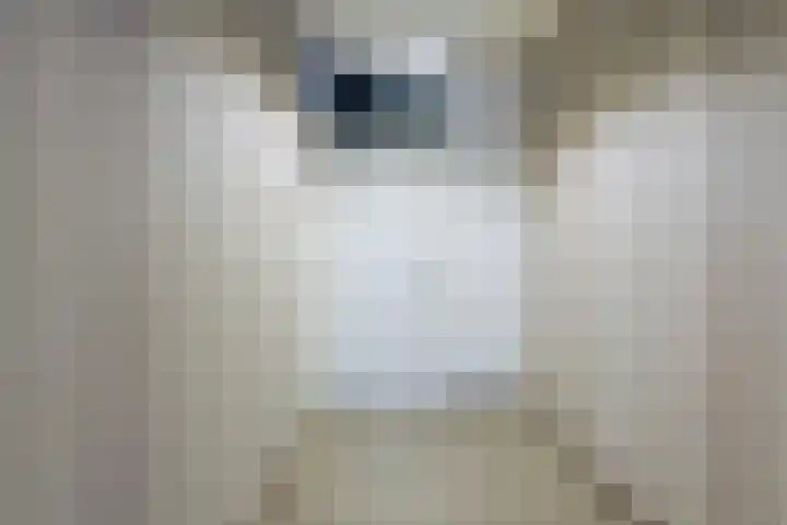 De Arabier 11 Dronten thumbnail 6