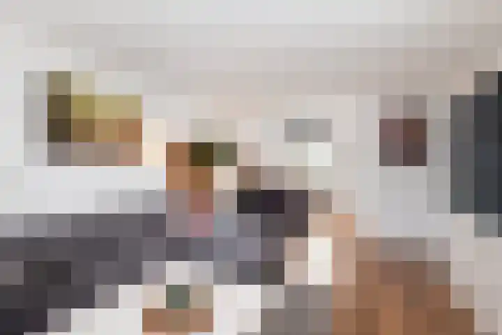 De Arabier 11 Dronten thumbnail 6