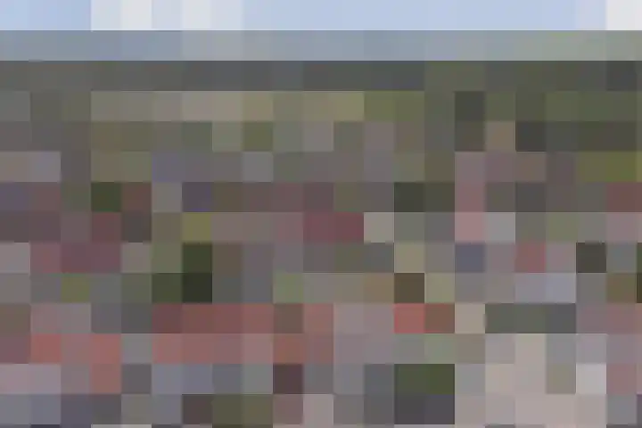 De Arabier 13 Dronten thumbnail 35