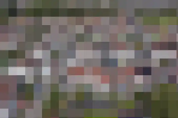 De Arabier 13 Dronten thumbnail 36