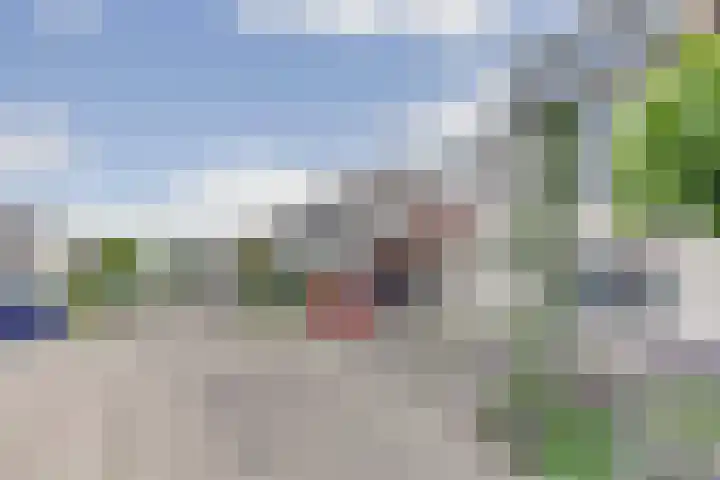 De Arabier 13 Dronten thumbnail 42