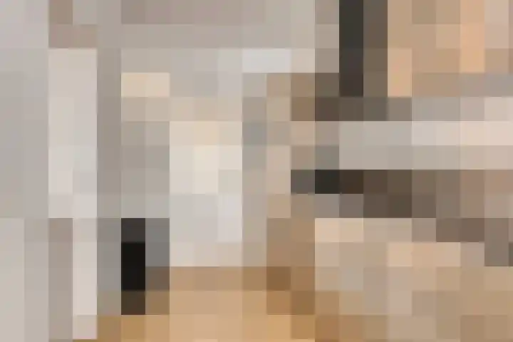 de Baander 24 Tolbert thumbnail 17