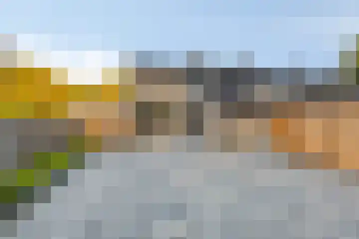 de Baander 24 Tolbert thumbnail 29