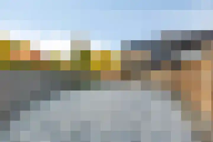 de Baander 24 Tolbert thumbnail 30