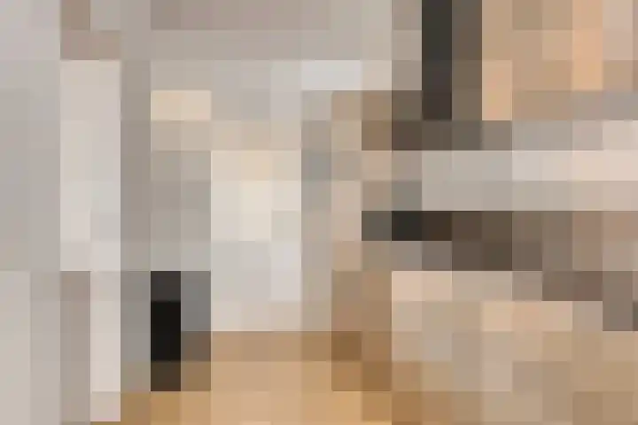 de Baander 24 Tolbert thumbnail 4