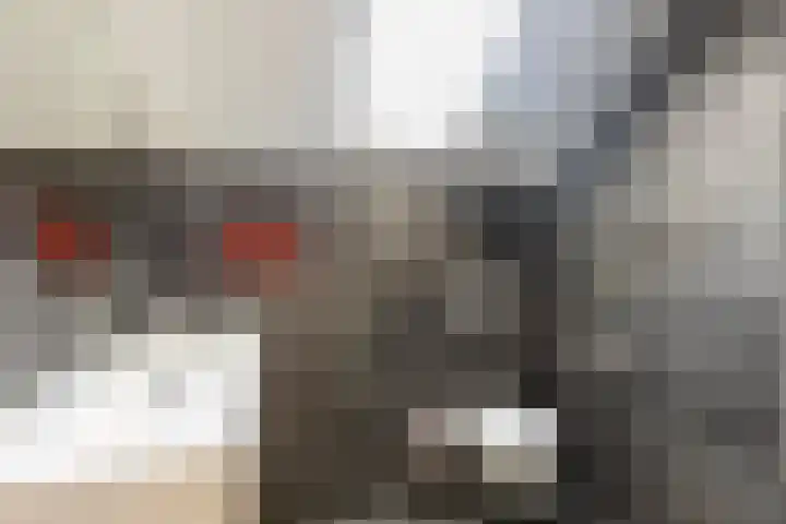 de Baander 24 Tolbert thumbnail 6