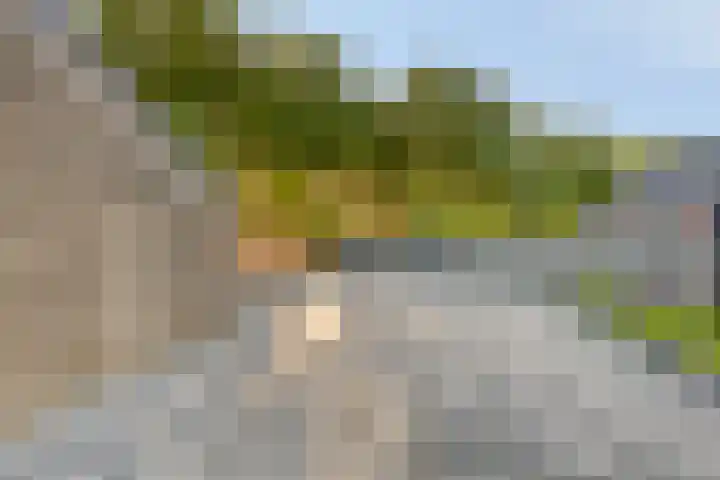 de Baander 24 Tolbert thumbnail 8