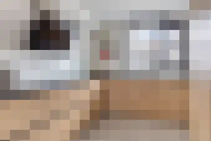 De Backerstraat 54 Poeldijk thumbnail 21