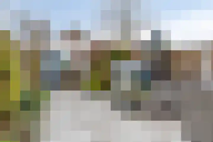 De Backerstraat 54 Poeldijk thumbnail 5